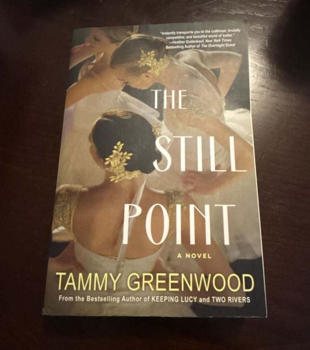 The Still Point: A Novel by Tammy Greenwood (2024 Trade Paperback)